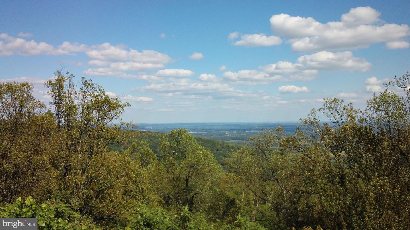 BLUERIDGE MOUNTAIN, PARIS, Virginia 20130, ,Farm,For sale,BLUERIDGE MOUNTAIN,VALO2105128 MLS # VALO2105128