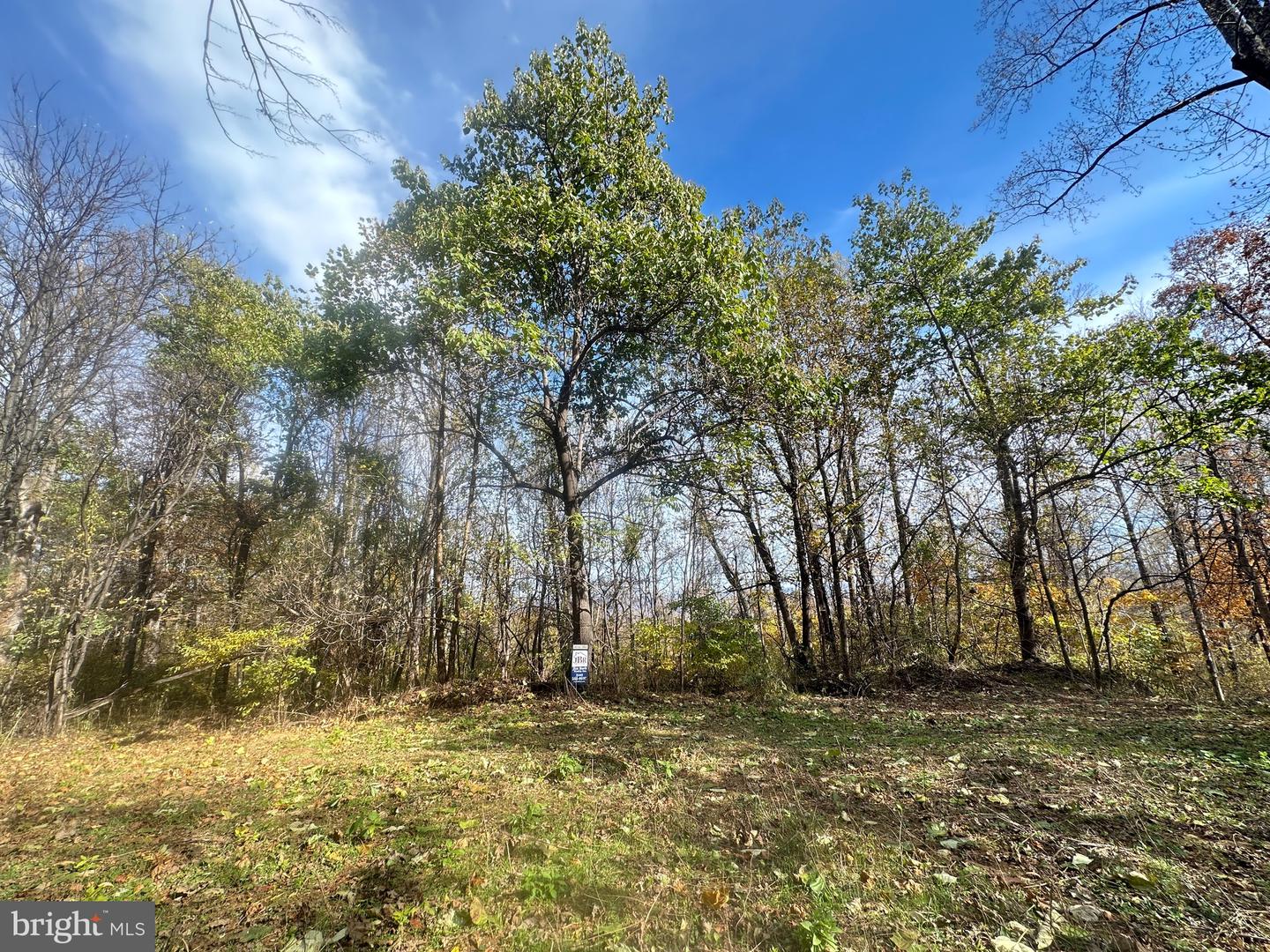 BLUERIDGE MOUNTAIN, PARIS, Virginia 20130, ,Farm,For sale,BLUERIDGE MOUNTAIN,VALO2105128 MLS # VALO2105128