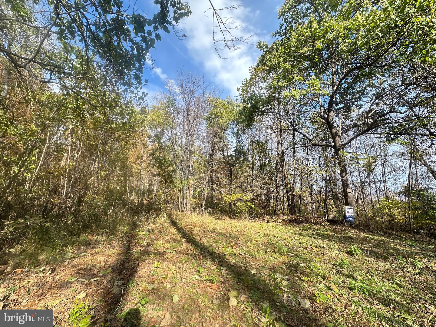 BLUERIDGE MOUNTAIN, PARIS, Virginia 20130, ,Farm,For sale,BLUERIDGE MOUNTAIN,VALO2105128 MLS # VALO2105128