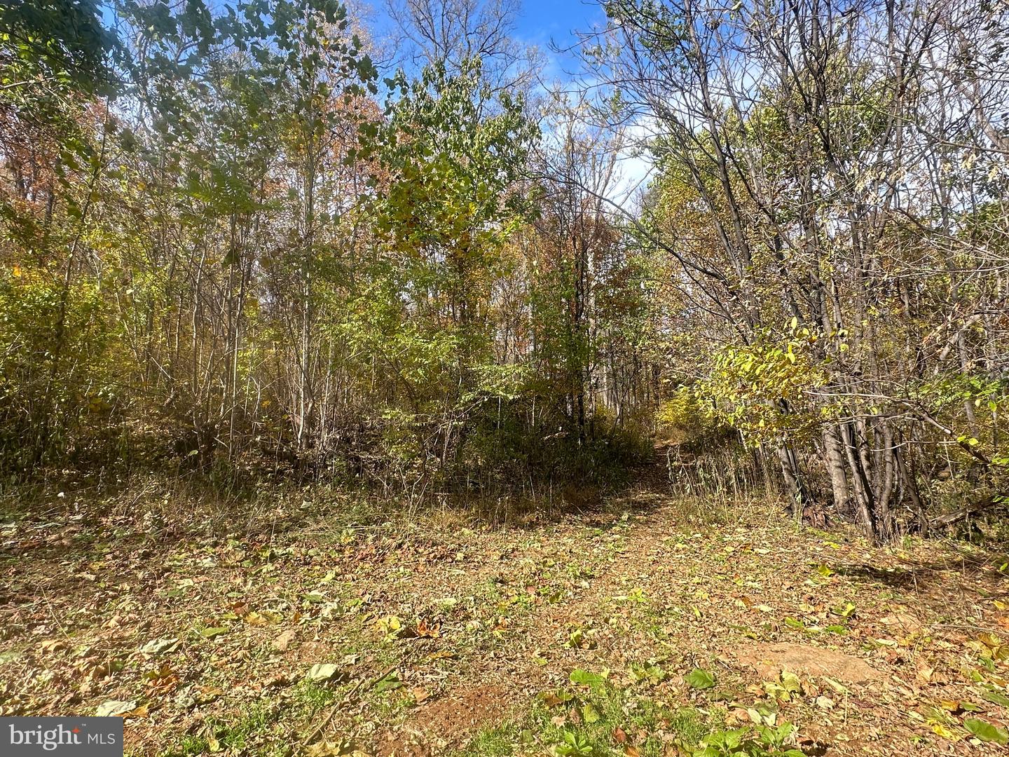 BLUERIDGE MOUNTAIN, PARIS, Virginia 20130, ,Farm,For sale,BLUERIDGE MOUNTAIN,VALO2105128 MLS # VALO2105128