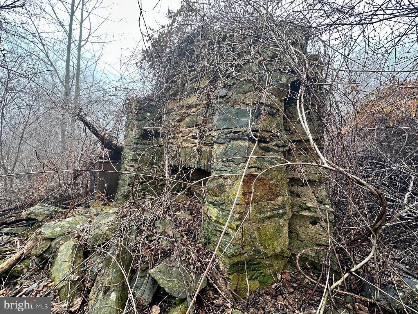 BLUERIDGE MOUNTAIN, PARIS, Virginia 20130, ,Farm,For sale,BLUERIDGE MOUNTAIN,VALO2105128 MLS # VALO2105128