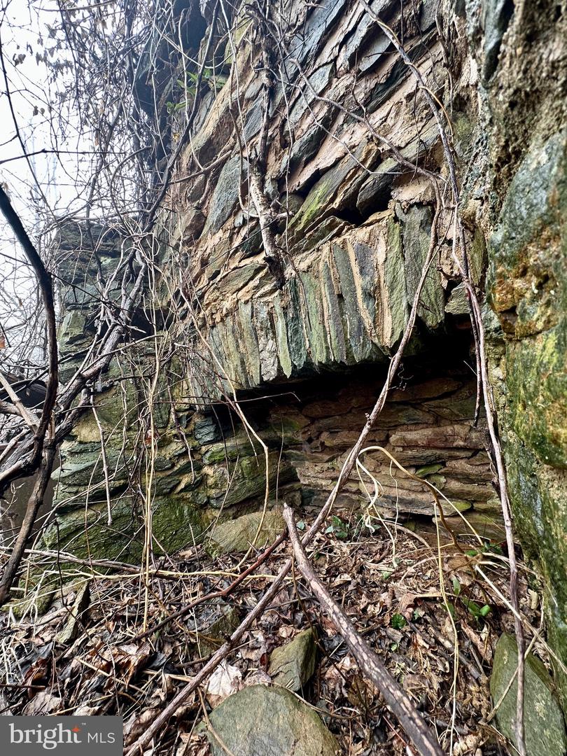 BLUERIDGE MOUNTAIN, PARIS, Virginia 20130, ,Farm,For sale,BLUERIDGE MOUNTAIN,VALO2105128 MLS # VALO2105128