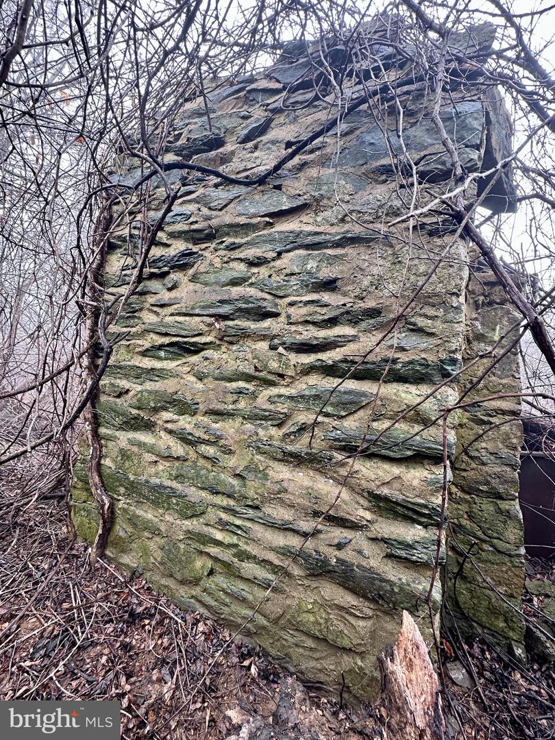 BLUERIDGE MOUNTAIN, PARIS, Virginia 20130, ,Farm,For sale,BLUERIDGE MOUNTAIN,VALO2105128 MLS # VALO2105128