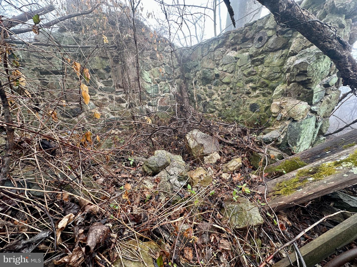 BLUERIDGE MOUNTAIN, PARIS, Virginia 20130, ,Farm,For sale,BLUERIDGE MOUNTAIN,VALO2105128 MLS # VALO2105128