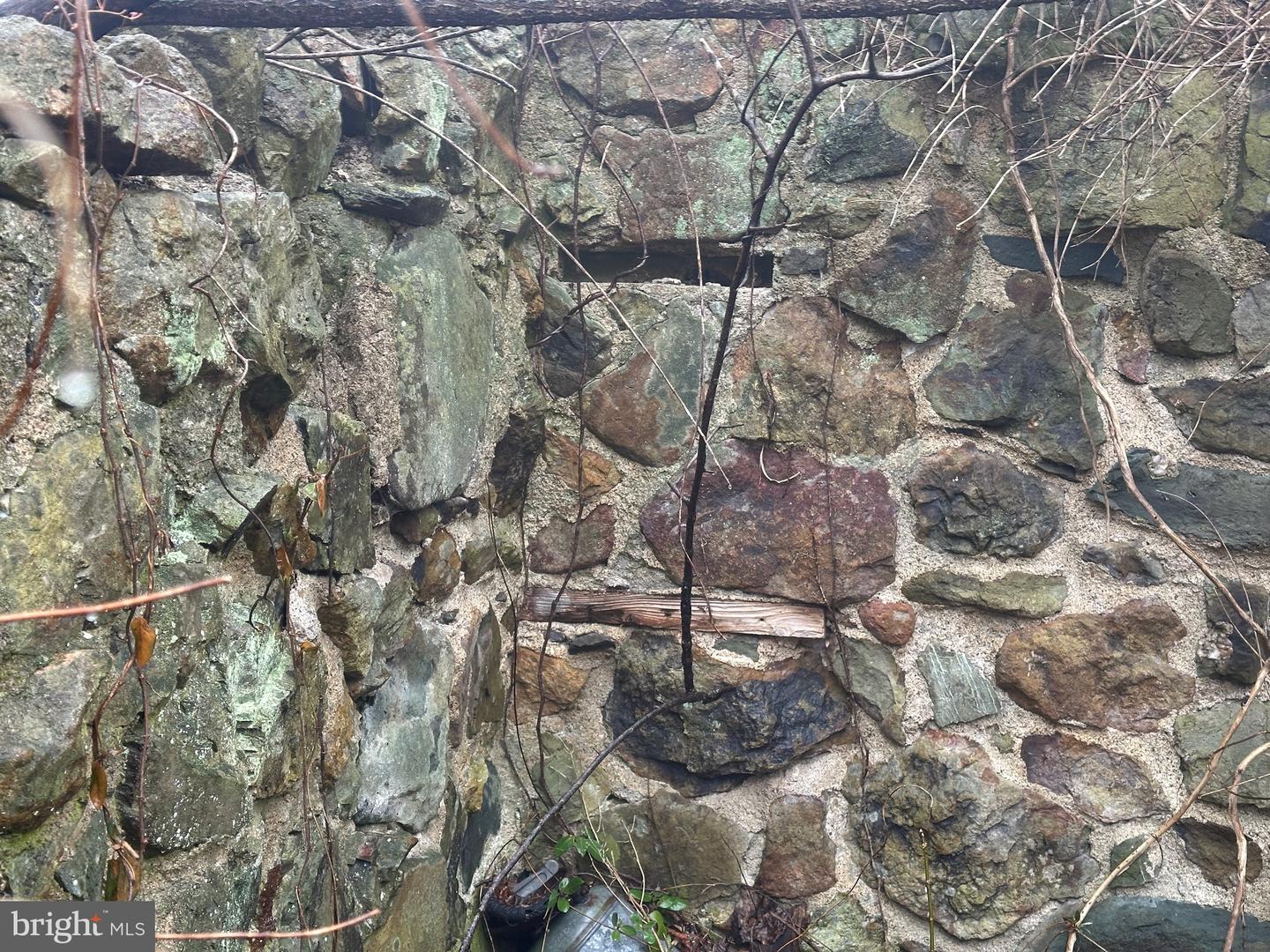 BLUERIDGE MOUNTAIN, PARIS, Virginia 20130, ,Farm,For sale,BLUERIDGE MOUNTAIN,VALO2105128 MLS # VALO2105128