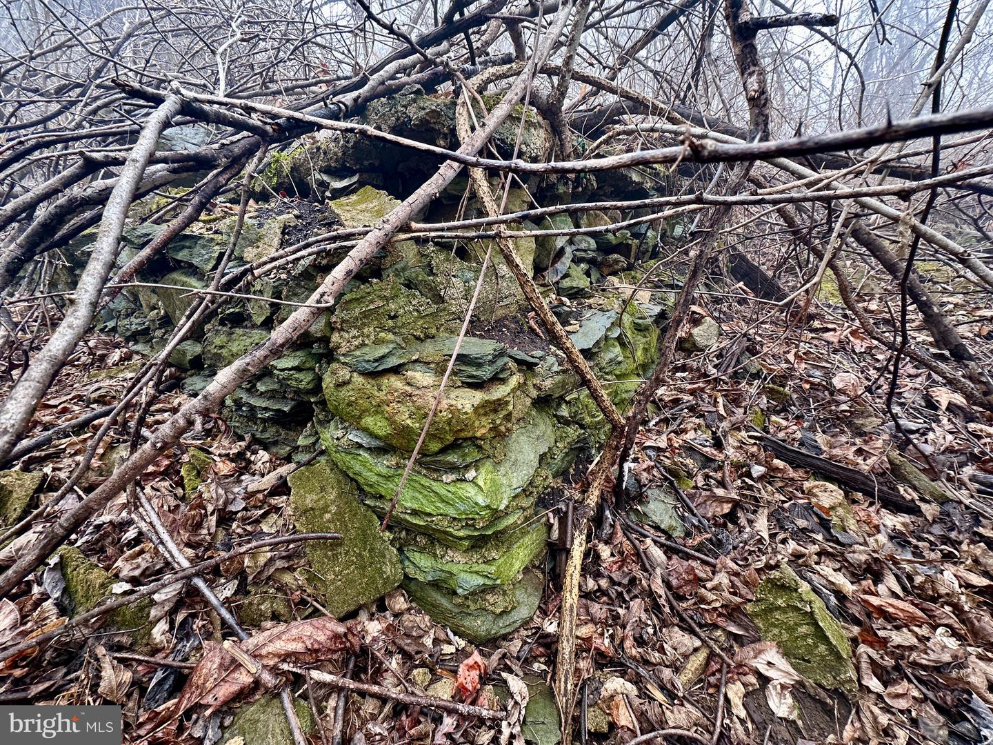 BLUERIDGE MOUNTAIN, PARIS, Virginia 20130, ,Farm,For sale,BLUERIDGE MOUNTAIN,VALO2105128 MLS # VALO2105128