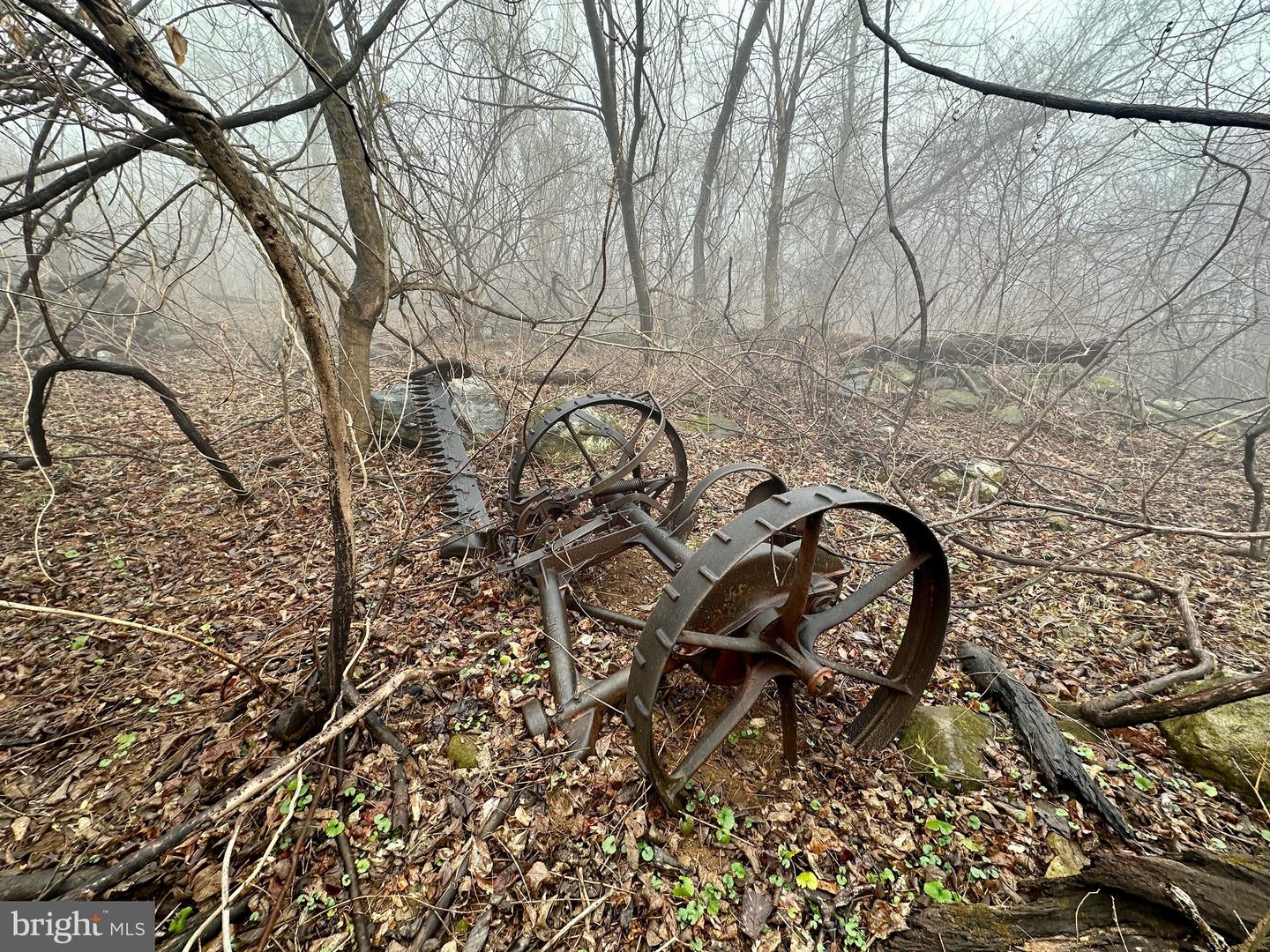 BLUERIDGE MOUNTAIN, PARIS, Virginia 20130, ,Farm,For sale,BLUERIDGE MOUNTAIN,VALO2105128 MLS # VALO2105128