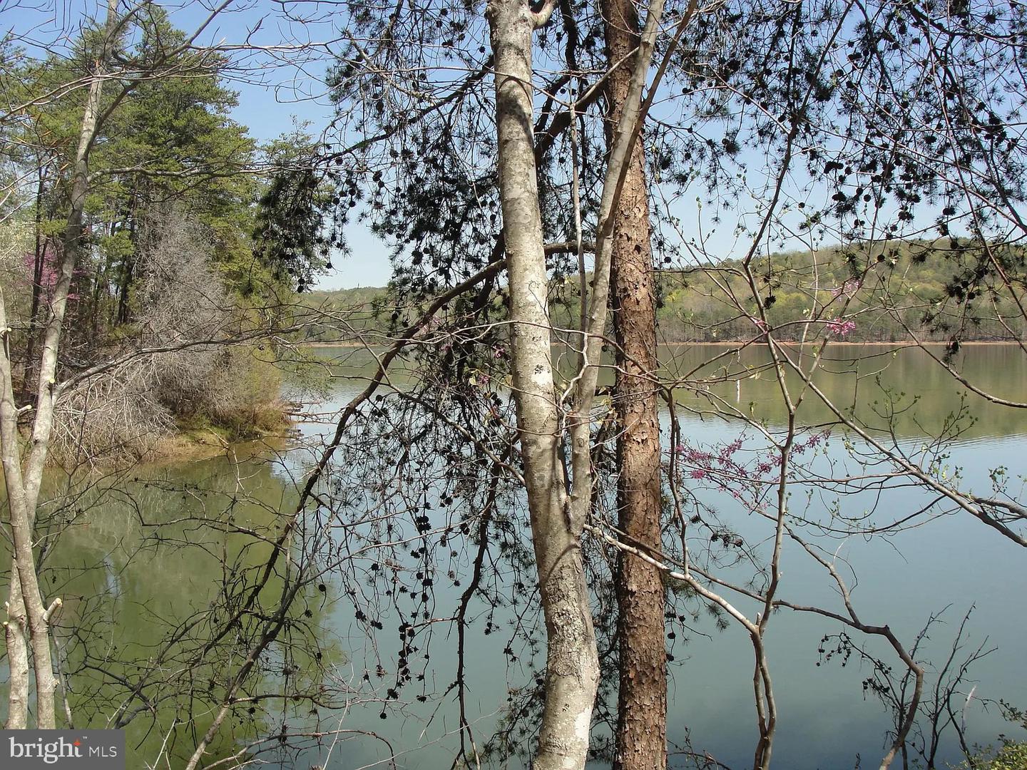 96 LOT JACOBS HOLLOW, LYNCH STATION, Virginia 24571, ,Land,For sale,96 LOT JACOBS HOLLOW,VACP2000098 MLS # VACP2000098