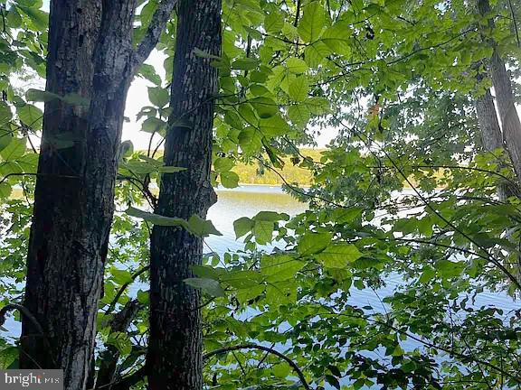 96 LOT JACOBS HOLLOW, LYNCH STATION, Virginia 24571, ,Land,For sale,96 LOT JACOBS HOLLOW,VACP2000098 MLS # VACP2000098