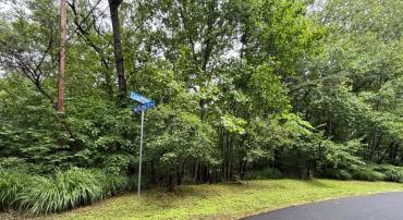2704 CHARITON ST, OAKTON, Virginia 22124, ,Land,For sale,2704 CHARITON ST,VAFX2241324 MLS # VAFX2241324