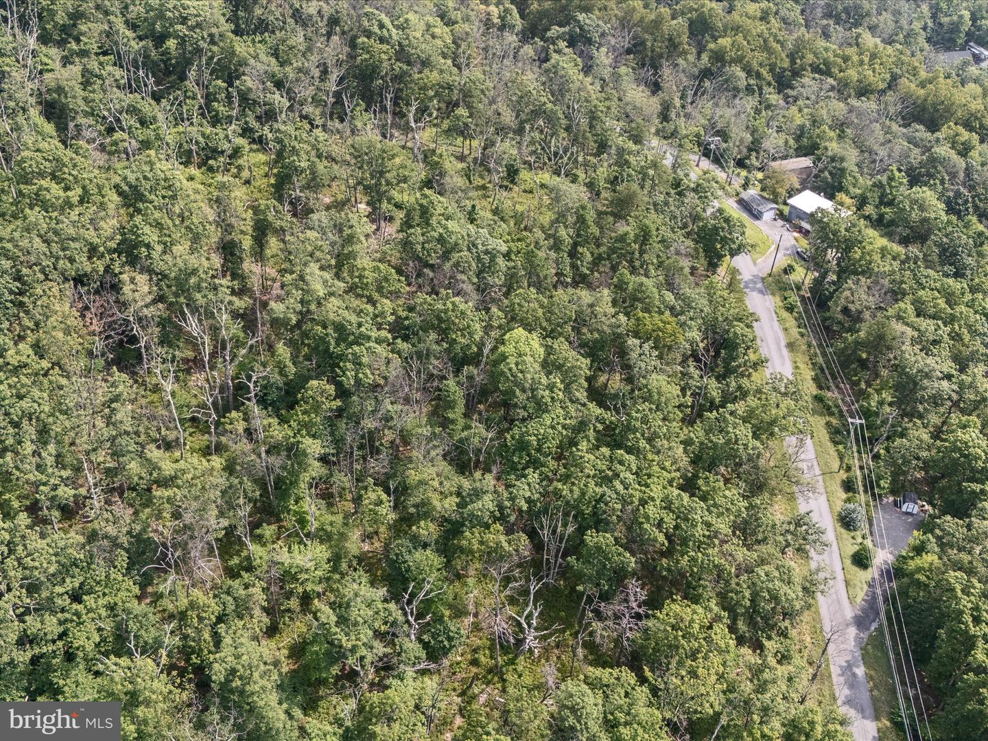 LOT 43 TOMAHAWK TRL, WINCHESTER, Virginia 22602, ,Land,For sale,LOT 43 TOMAHAWK TRL,VAFV2035732 MLS # VAFV2035732