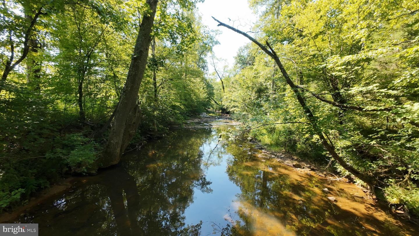 4124 EAST FERRY RD, GLADYS, Virginia 24554, ,Land,For sale,4124 EAST FERRY RD,VACP2000100 MLS # VACP2000100