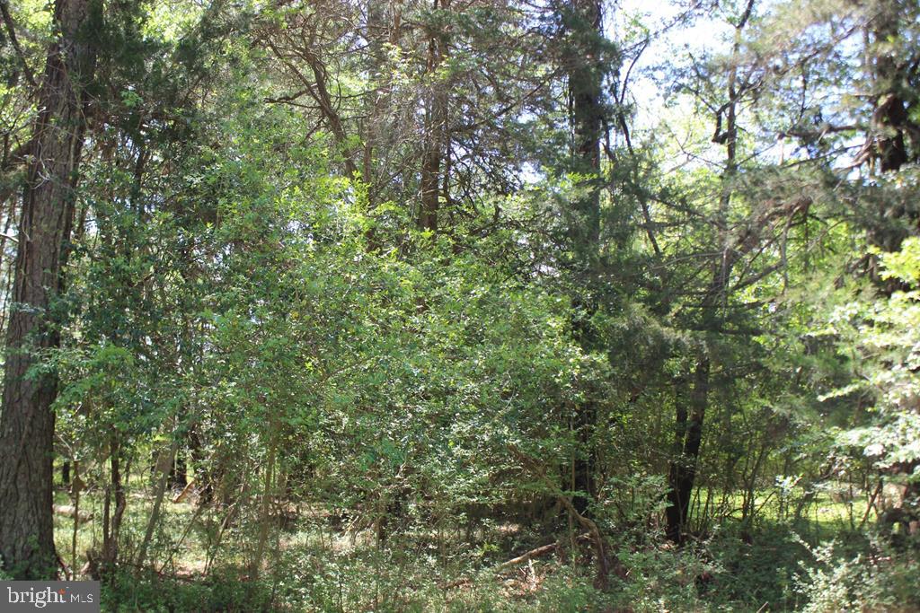 1093 AMIDSHIP DR, GREENBACKVILLE, Virginia 23356, ,Land,For sale,1093 AMIDSHIP DR,VAAC2002178 MLS # VAAC2002178