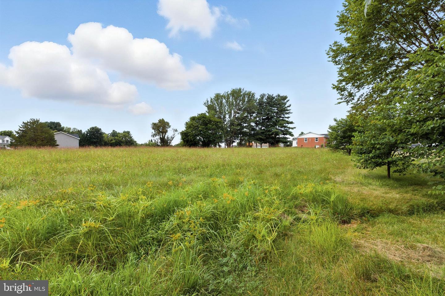 WESLEY CHAPEL LOT 15 DR, EDINBURG, Virginia 22824, ,Land,For sale,WESLEY CHAPEL LOT 15 DR,VASH2012322 MLS # VASH2012322