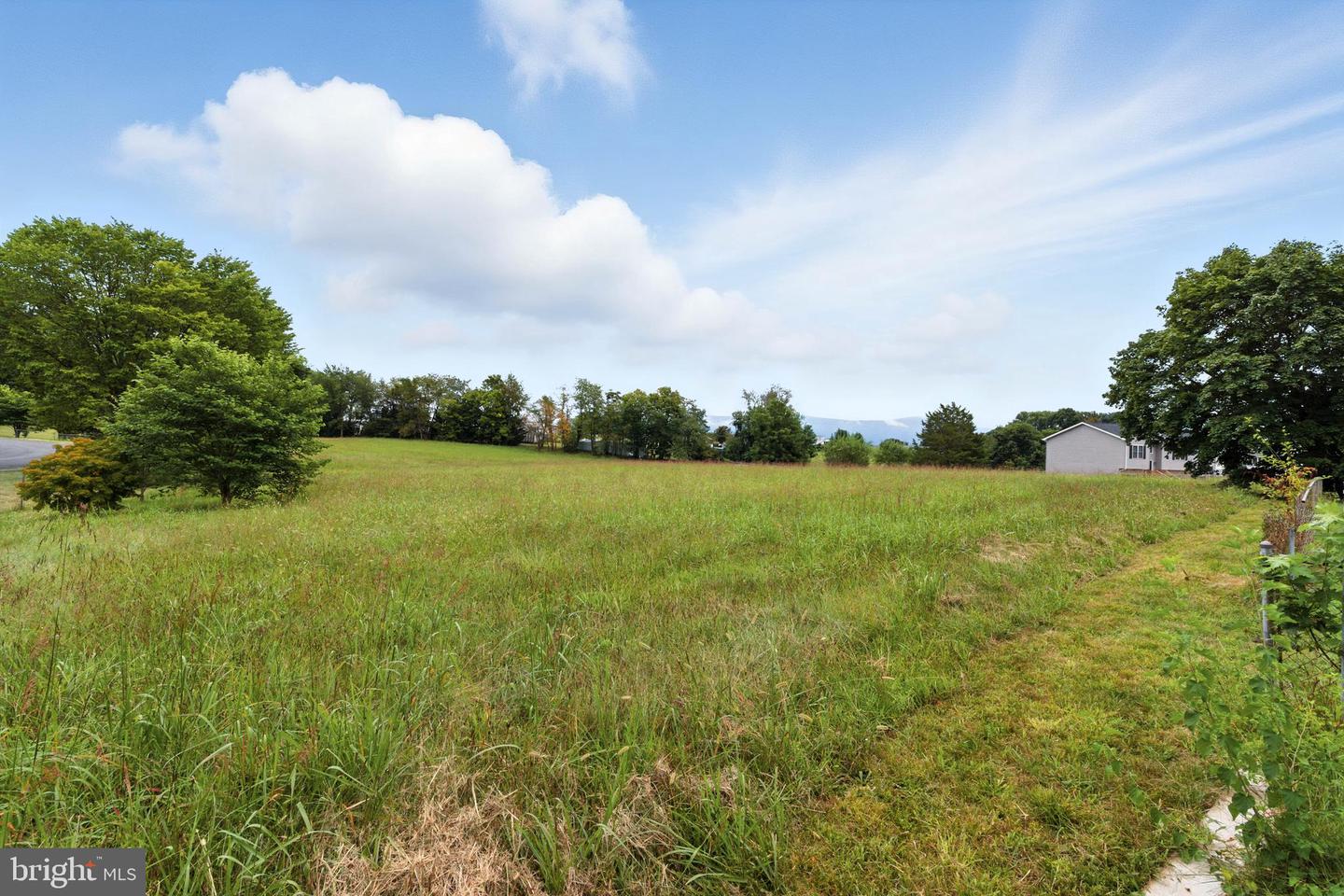 WESLEY CHAPEL LOT 15 DR, EDINBURG, Virginia 22824, ,Land,For sale,WESLEY CHAPEL LOT 15 DR,VASH2012322 MLS # VASH2012322