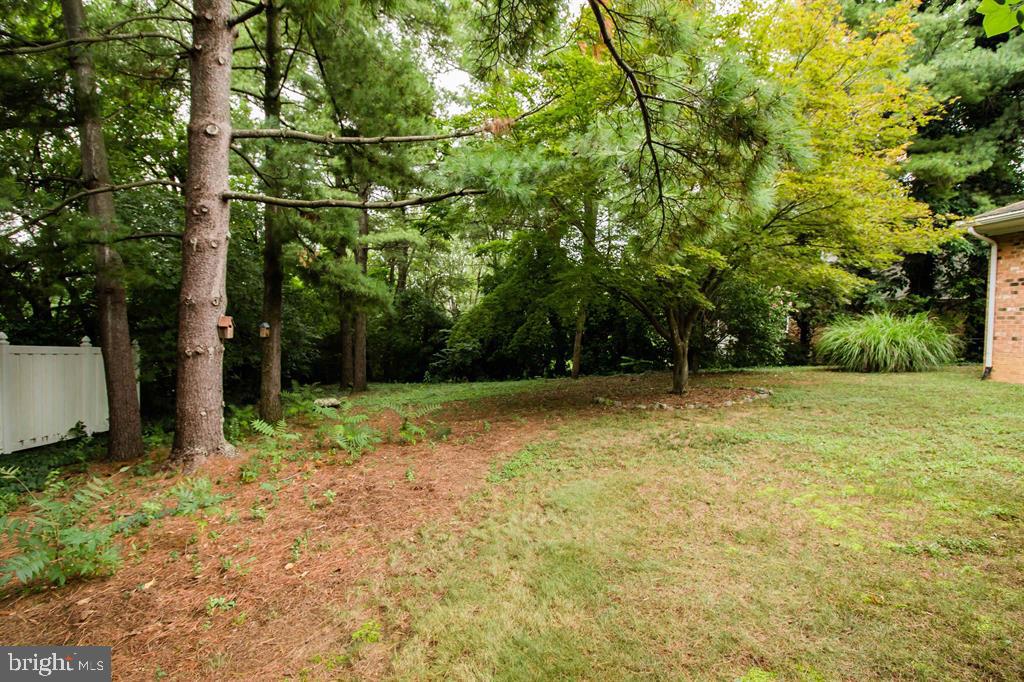 16 TAMELA CT, HARRISONBURG, Virginia 22801, 3 Bedrooms Bedrooms, ,2 BathroomsBathrooms,Residential,For sale,16 TAMELA CT,VAHC2000472 MLS # VAHC2000472
