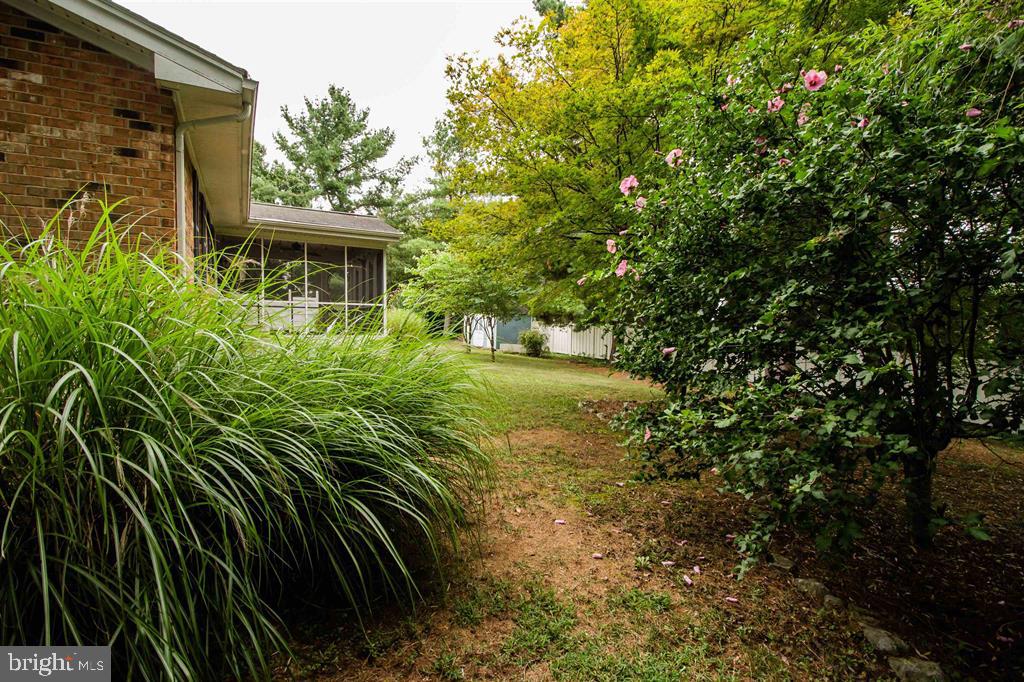 16 TAMELA CT, HARRISONBURG, Virginia 22801, 3 Bedrooms Bedrooms, ,2 BathroomsBathrooms,Residential,For sale,16 TAMELA CT,VAHC2000472 MLS # VAHC2000472