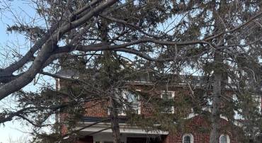 609 QUACKENBOS ST NW, WASHINGTON, District Of Columbia 20011, 3 Bedrooms Bedrooms, ,2 BathroomsBathrooms,Residential,For sale,609 QUACKENBOS ST NW,DCDC2186662 MLS # DCDC2186662