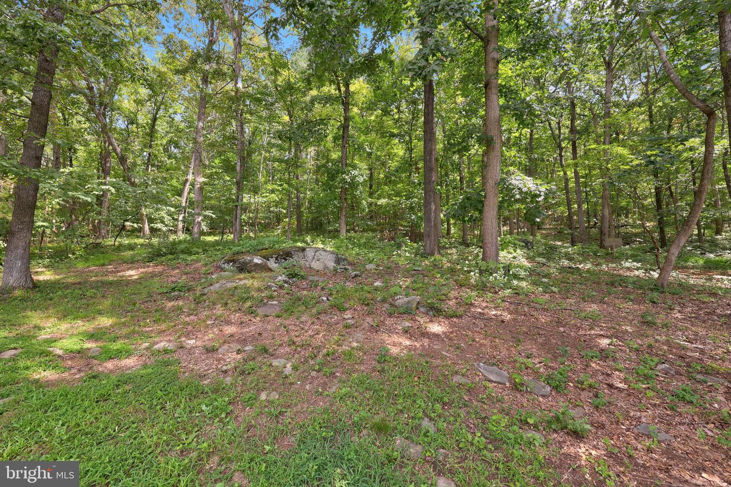 7333 FOX CALL LN, WARRENTON, Virginia 20186, 5 Bedrooms Bedrooms, ,3 BathroomsBathrooms,Residential,For sale,7333 FOX CALL LN,VAFQ2017810 MLS # VAFQ2017810