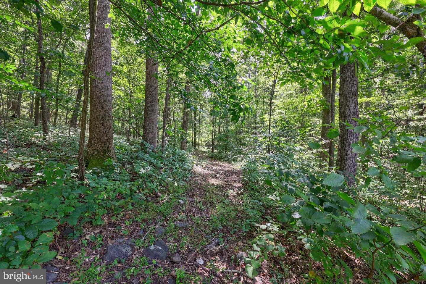 7333 FOX CALL LN, WARRENTON, Virginia 20186, 5 Bedrooms Bedrooms, ,3 BathroomsBathrooms,Residential,For sale,7333 FOX CALL LN,VAFQ2017810 MLS # VAFQ2017810