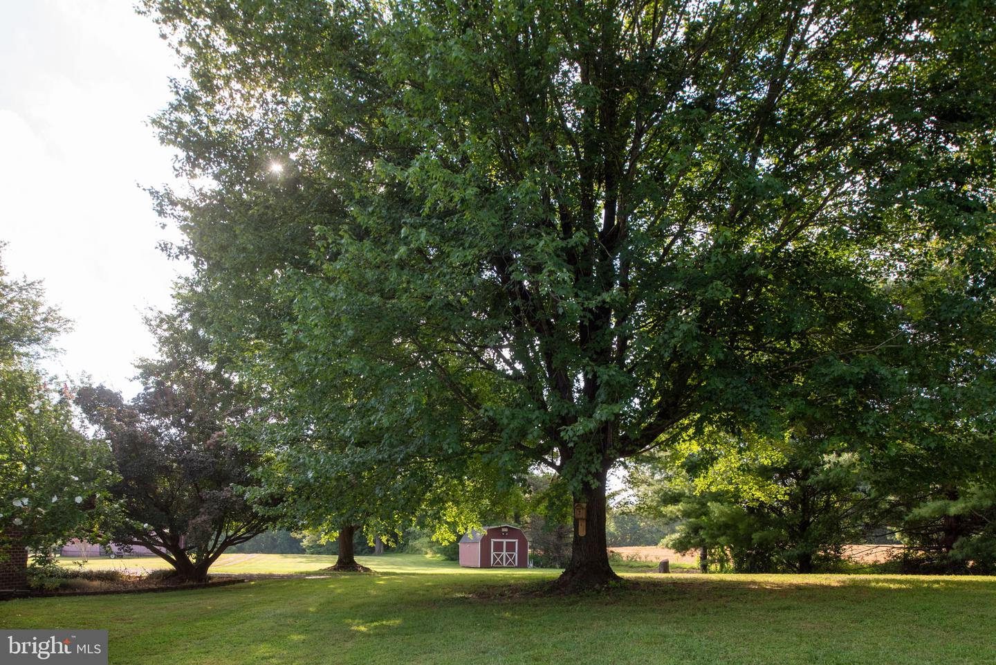 9124 GREEN RD, WARRENTON, Virginia 20187, 5 Bedrooms Bedrooms, ,5 BathroomsBathrooms,Residential,For sale,9124 GREEN RD,VAFQ2017936 MLS # VAFQ2017936