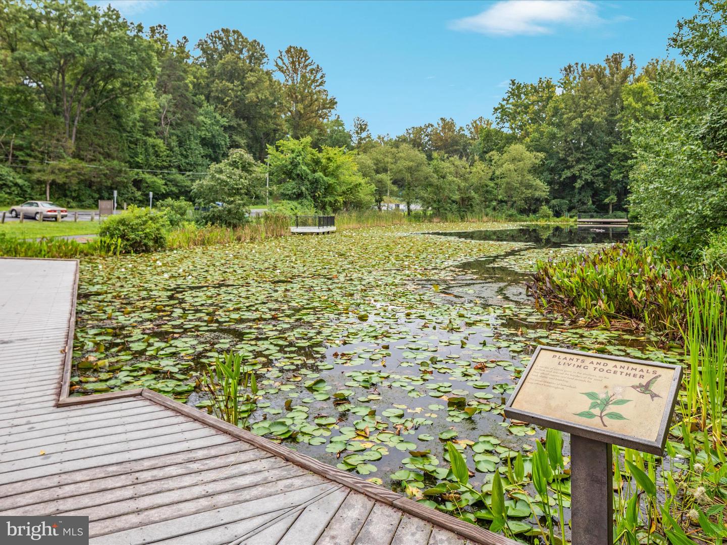 4706 WALNEY KNOLL CT, CHANTILLY, Virginia 20151, 4 Bedrooms Bedrooms, ,2 BathroomsBathrooms,Residential,For sale,4706 WALNEY KNOLL CT,VAFX2261000 MLS # VAFX2261000