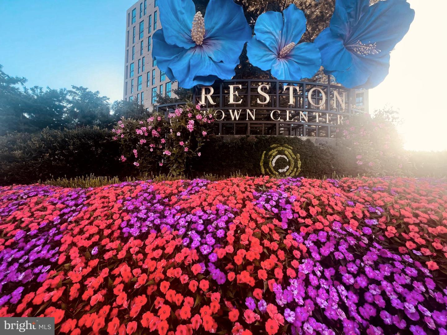 12001 MARKET ST #T35, RESTON, Virginia 20190, 1 Bedroom Bedrooms, ,1 BathroomBathrooms,Residential,For sale,12001 MARKET ST #T35,VAFX2262262 MLS # VAFX2262262 12001 MARKET ST #T35, RESTON, Virginia 20190, 1 Bedroom Bedrooms, ,1 BathroomBathrooms,Residential,For sale,12001 MARKET ST #T35,VAFX2262262 MLS # VAFX2262262