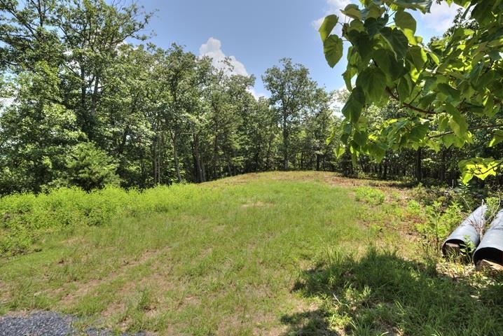 TBD LAUREL RIDGE LN, LYNDHURST, Virginia 22952, ,Land,TBD LAUREL RIDGE LN,667269 MLS # 667269