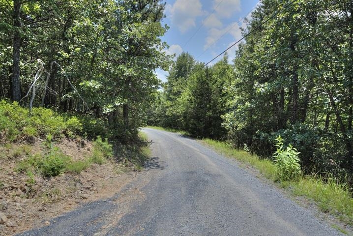 TBD LAUREL RIDGE LN, LYNDHURST, Virginia 22952, ,Land,TBD LAUREL RIDGE LN,667269 MLS # 667269