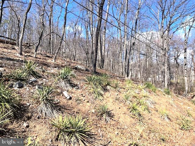 0 HAWK TRAIL LOT 155, WINCHESTER, Virginia 22602, ,Land,For sale,0 HAWK TRAIL LOT 155,VAFV2033018 MLS # VAFV2033018