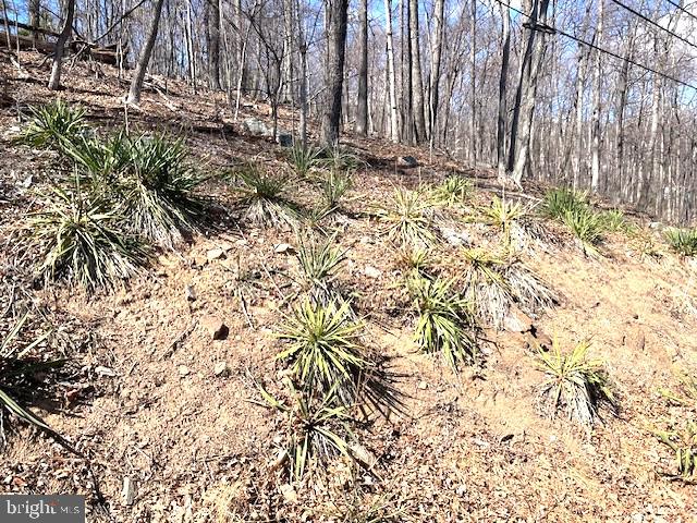 0 HAWK TRAIL LOT 155, WINCHESTER, Virginia 22602, ,Land,For sale,0 HAWK TRAIL LOT 155,VAFV2033018 MLS # VAFV2033018