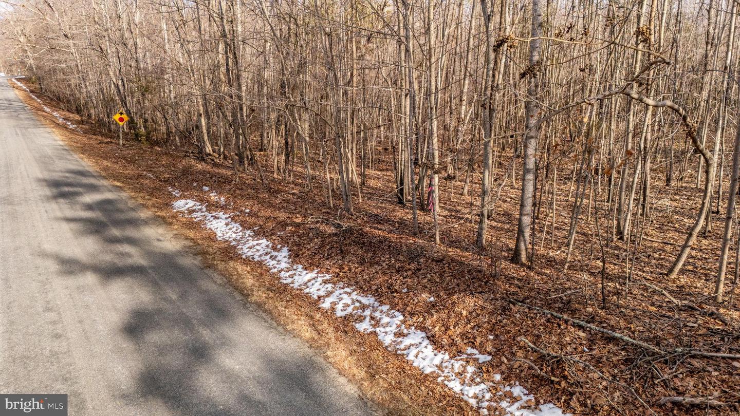 82 COSNER RD, LOUISA, Virginia 23093, ,Land,For sale,82 COSNER RD,VALA2008468 MLS # VALA2008468