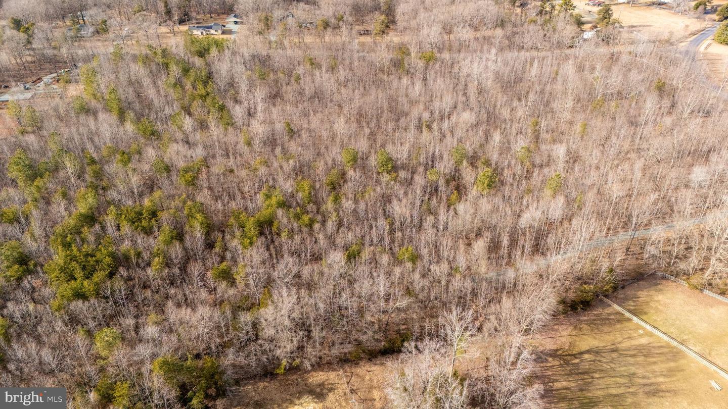 82 COSNER RD, LOUISA, Virginia 23093, ,Land,For sale,82 COSNER RD,VALA2008468 MLS # VALA2008468