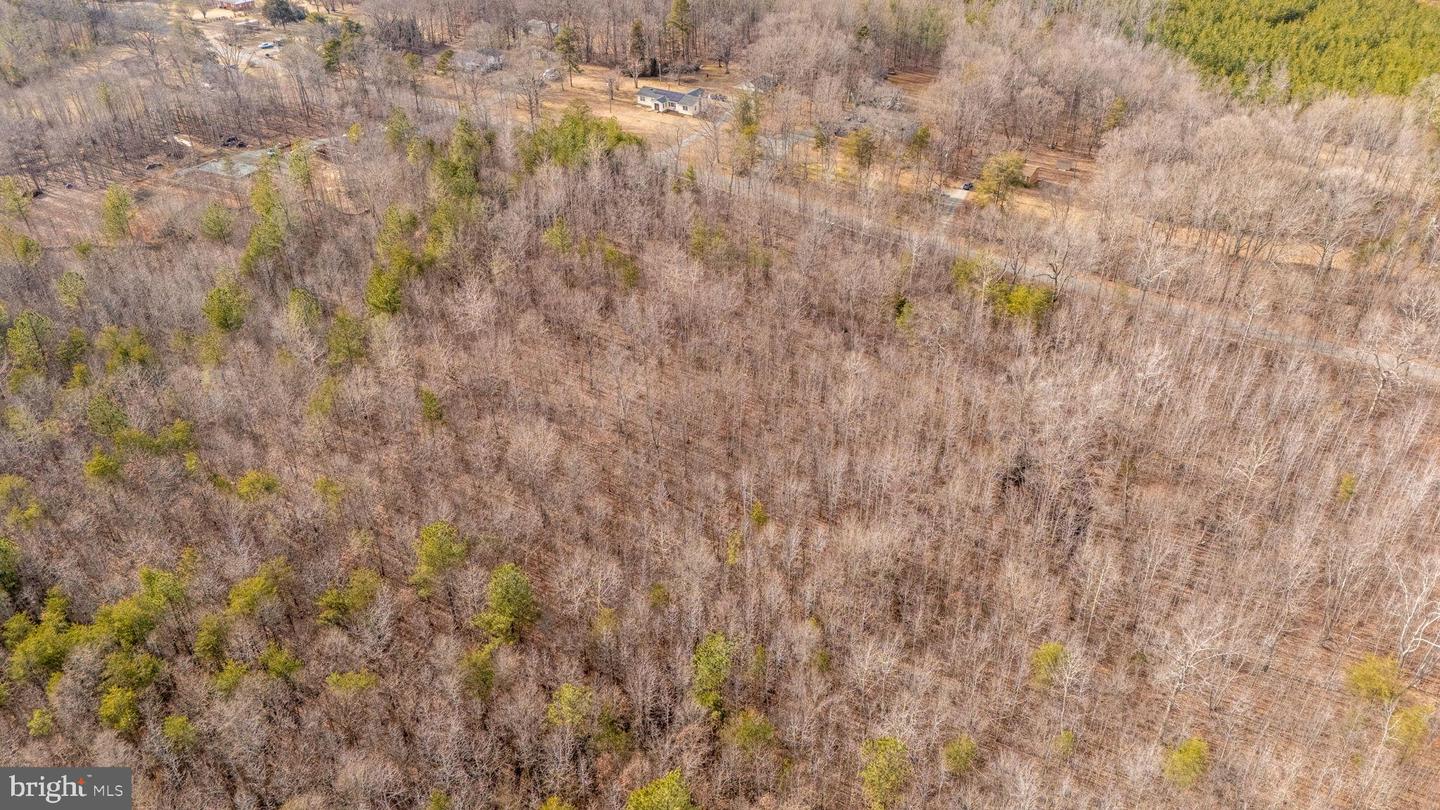 82 COSNER RD, LOUISA, Virginia 23093, ,Land,For sale,82 COSNER RD,VALA2008468 MLS # VALA2008468