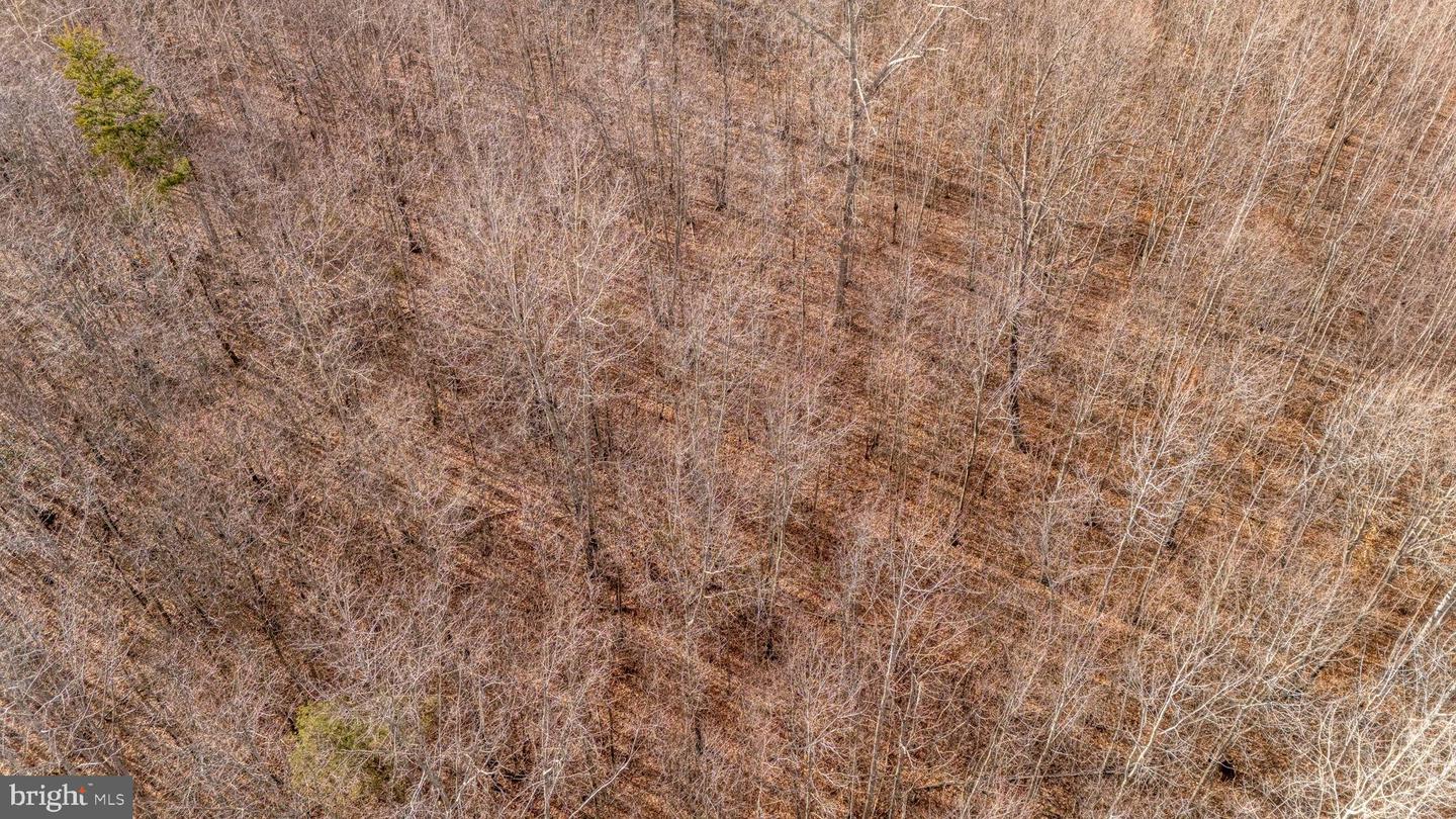 82 COSNER RD, LOUISA, Virginia 23093, ,Land,For sale,82 COSNER RD,VALA2008468 MLS # VALA2008468