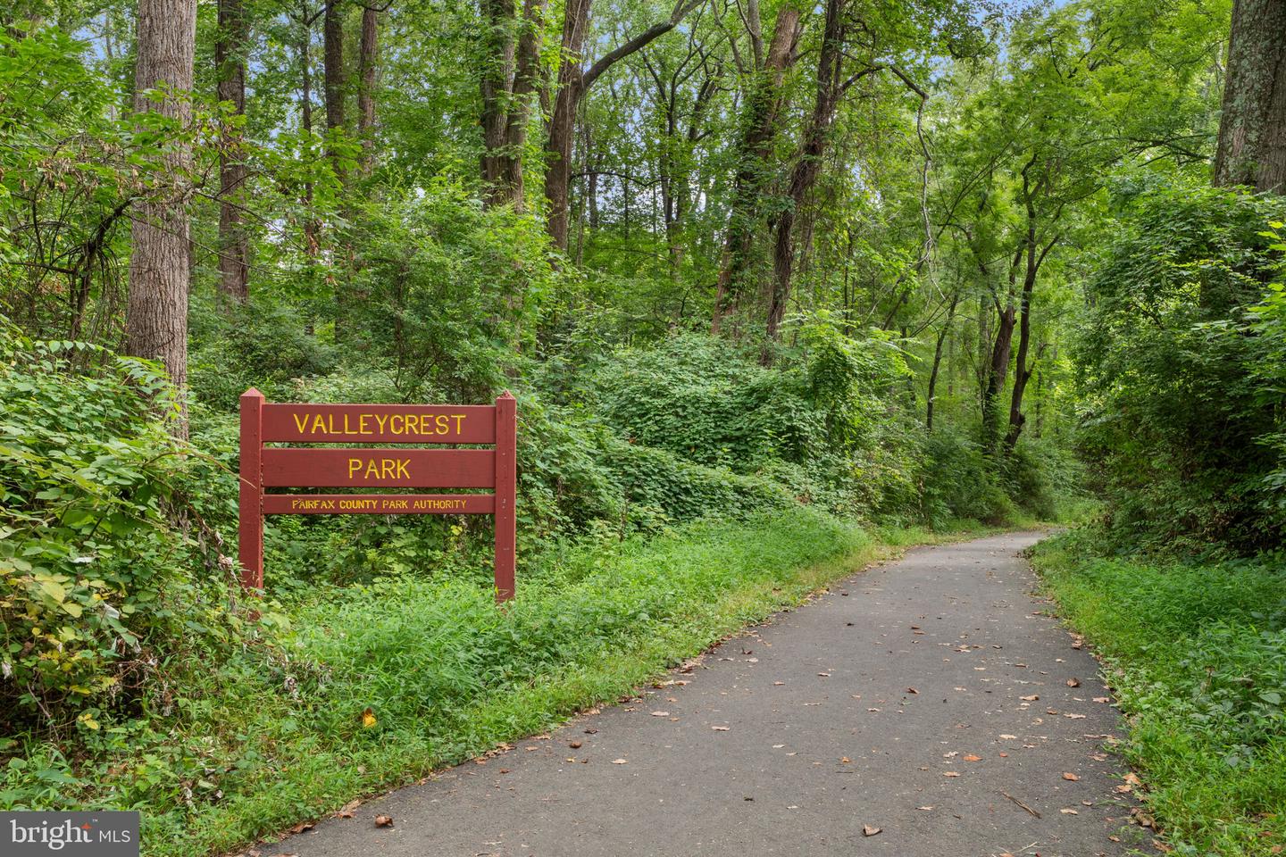 7301 MASONVILLE CT, ANNANDALE, Virginia 22003, 4 Bedrooms Bedrooms, ,2 BathroomsBathrooms,Residential,For sale,7301 MASONVILLE CT,VAFX2235980 MLS # VAFX2235980