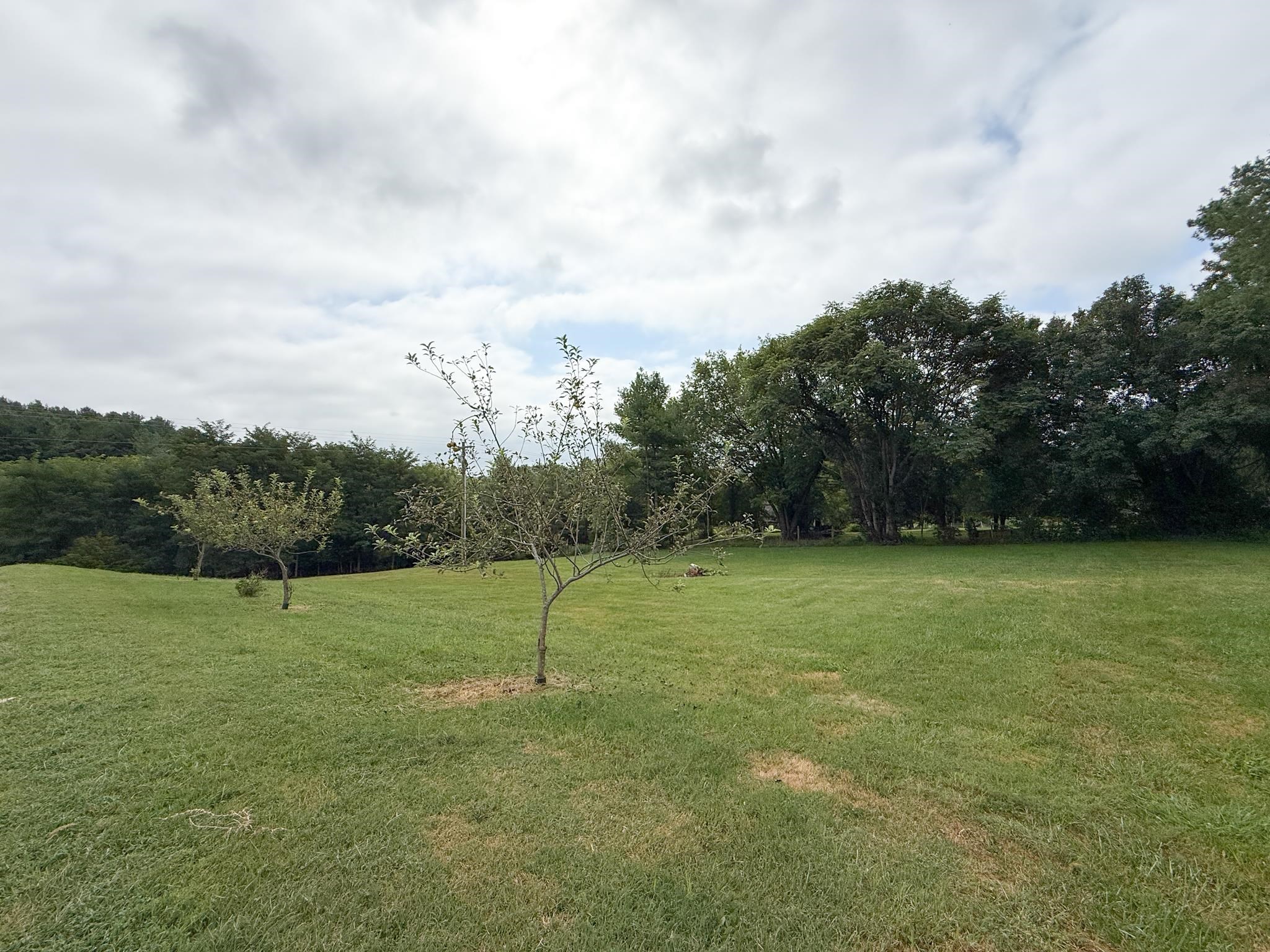 4119 SPRING HILL RD, MOUNT SOLON, Virginia 22843, 3 Bedrooms Bedrooms, ,2 BathroomsBathrooms,Residential,4119 SPRING HILL RD,668176 MLS # 668176