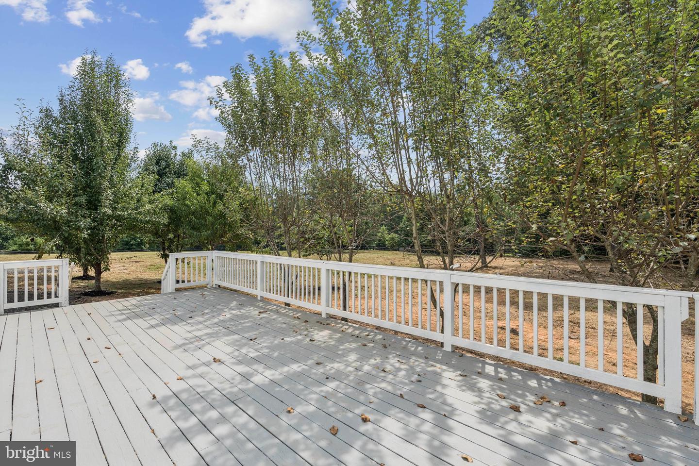 5323 GREATMEADE LN, SUMERDUCK, Virginia 22742, 4 Bedrooms Bedrooms, ,3 BathroomsBathrooms,Residential,For sale,5323 GREATMEADE LN,VAFQ2017656 MLS # VAFQ2017656