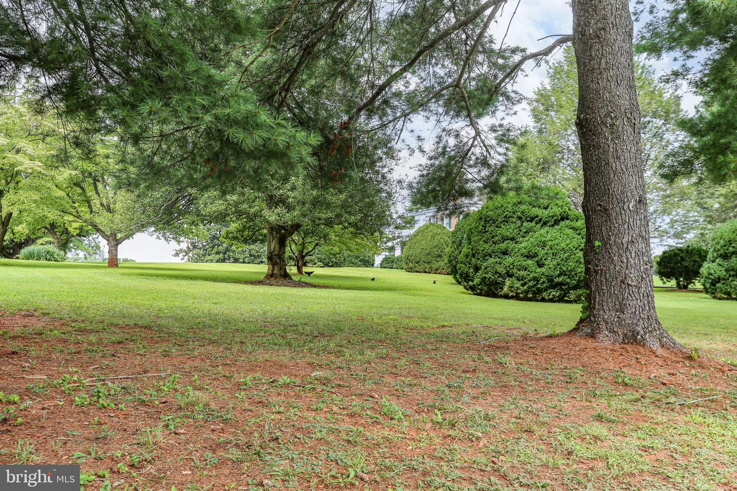 590 N MADISON ROAD, ORANGE, Virginia 22960, ,Land,For sale,590 N MADISON ROAD,VAOR2010582 MLS # VAOR2010582