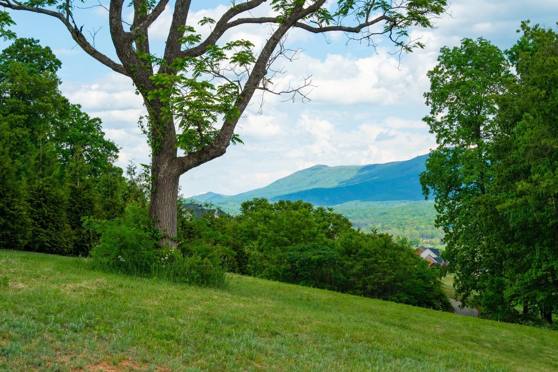 120 KESWICK CT, ROCKINGHAM, Virginia 22801, ,Land,1 of the last Lots!,120 KESWICK CT,658239 MLS # 658239