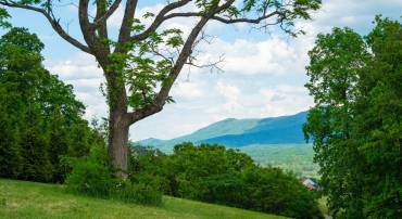 120 KESWICK CT, ROCKINGHAM, Virginia 22801, ,Land,1 of the last Lots!,120 KESWICK CT,658239 MLS # 658239