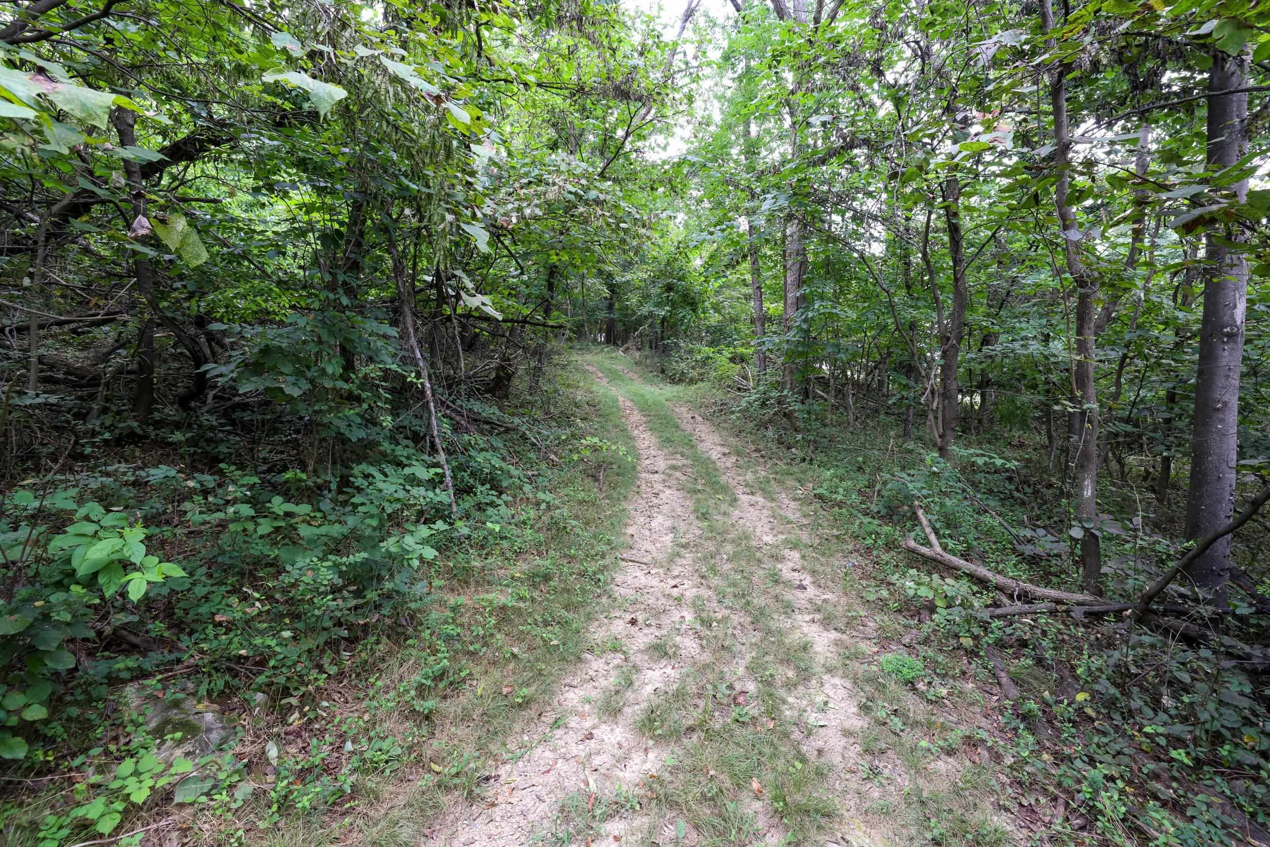 TBD SUNRISE DR, BROADWAY, Virginia 22815, ,Land,TBD SUNRISE DR,668183 MLS # 668183