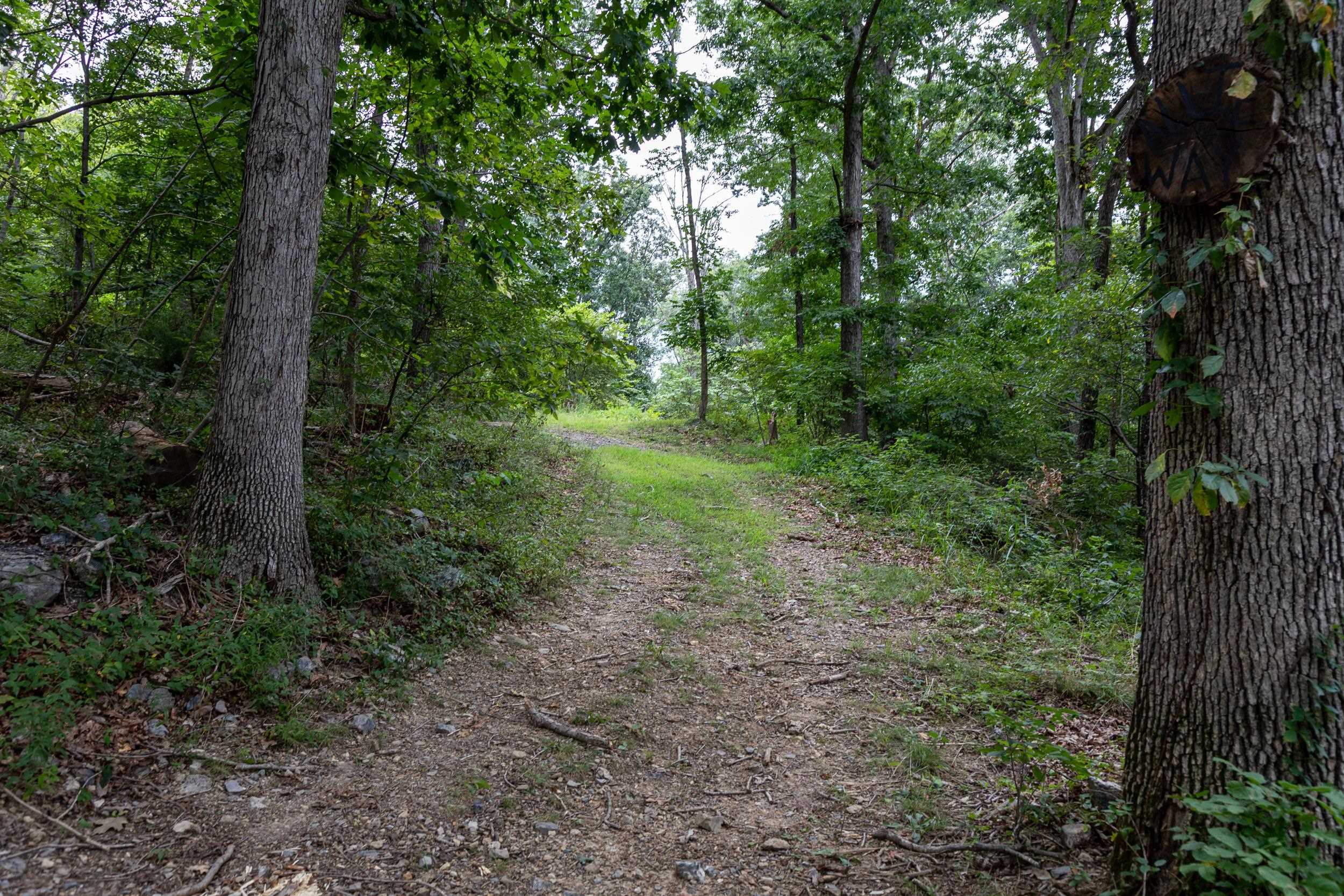 TBD SUNRISE DR, BROADWAY, Virginia 22815, ,Land,TBD SUNRISE DR,668183 MLS # 668183