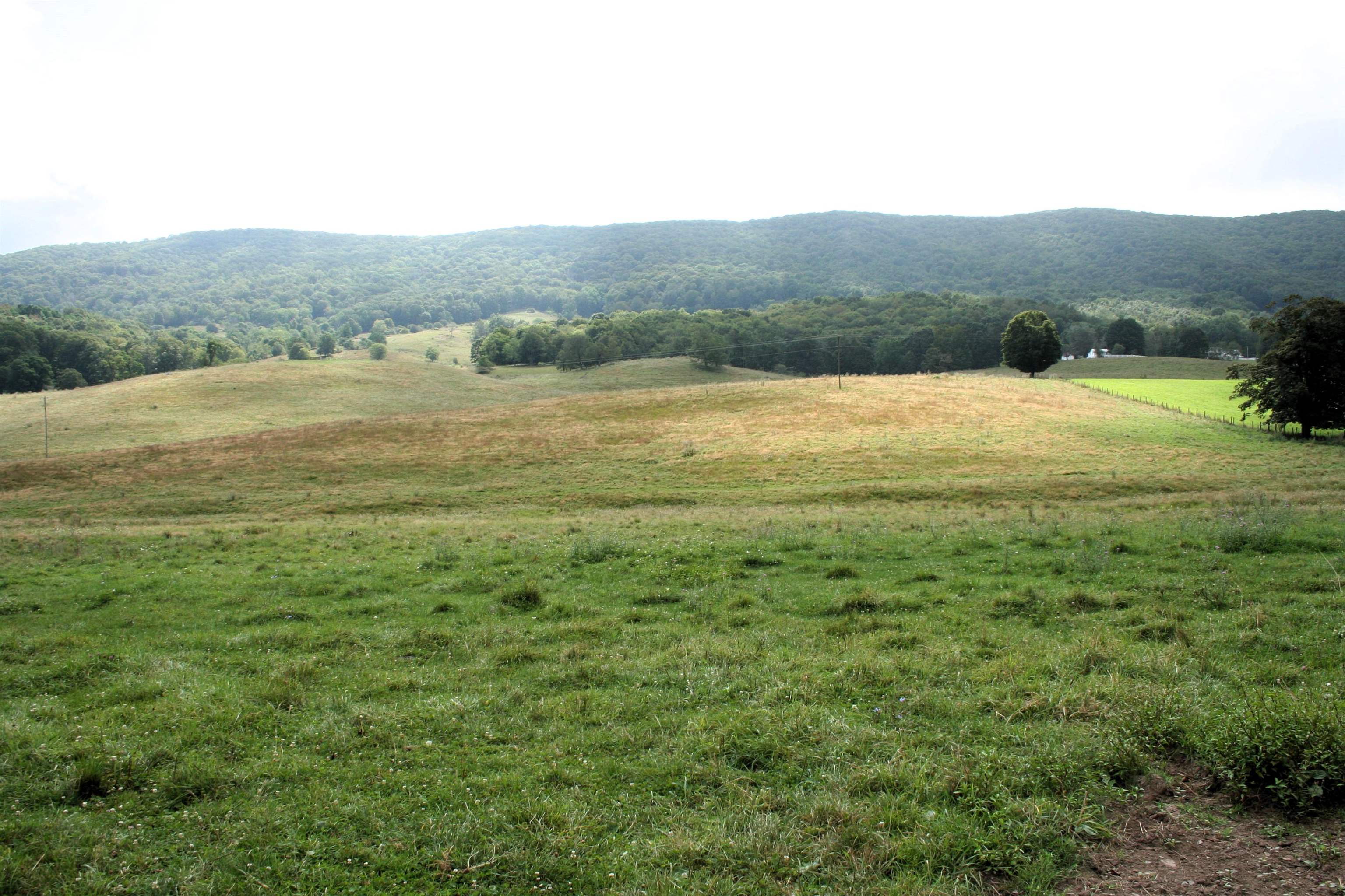 TBD MILL GAP RD, MONTEREY, Virginia 24465, ,Land,TBD MILL GAP RD,668196 MLS # 668196
