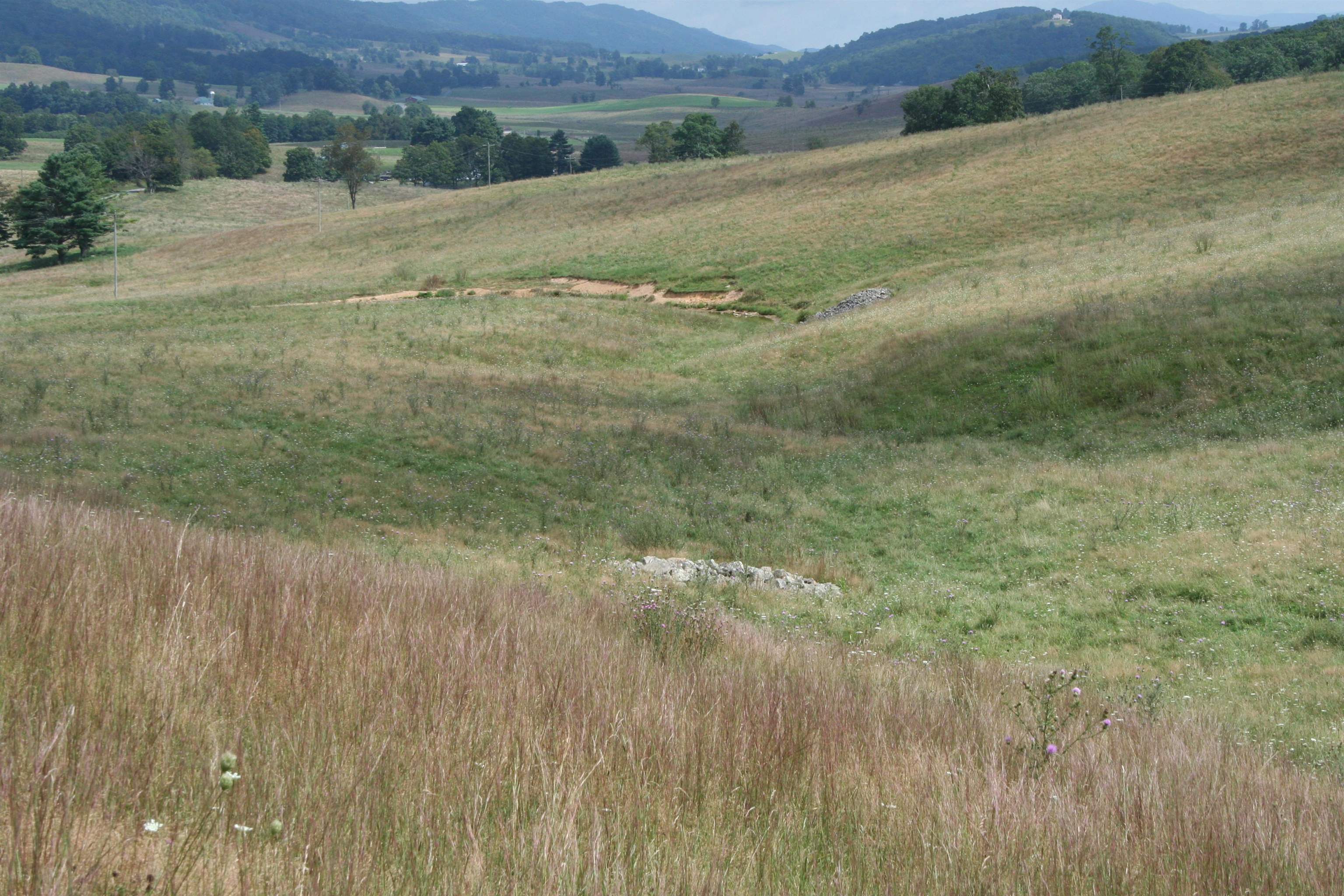 TBD MILL GAP RD, MONTEREY, Virginia 24465, ,Land,TBD MILL GAP RD,668196 MLS # 668196