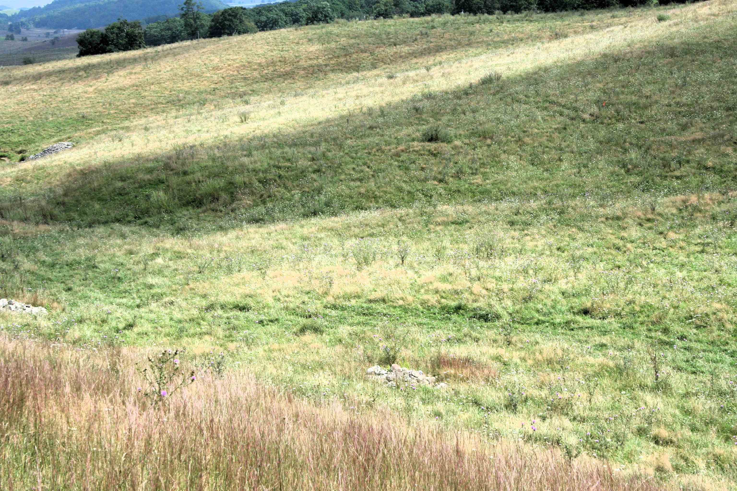 TBD MILL GAP RD, MONTEREY, Virginia 24465, ,Land,TBD MILL GAP RD,668196 MLS # 668196