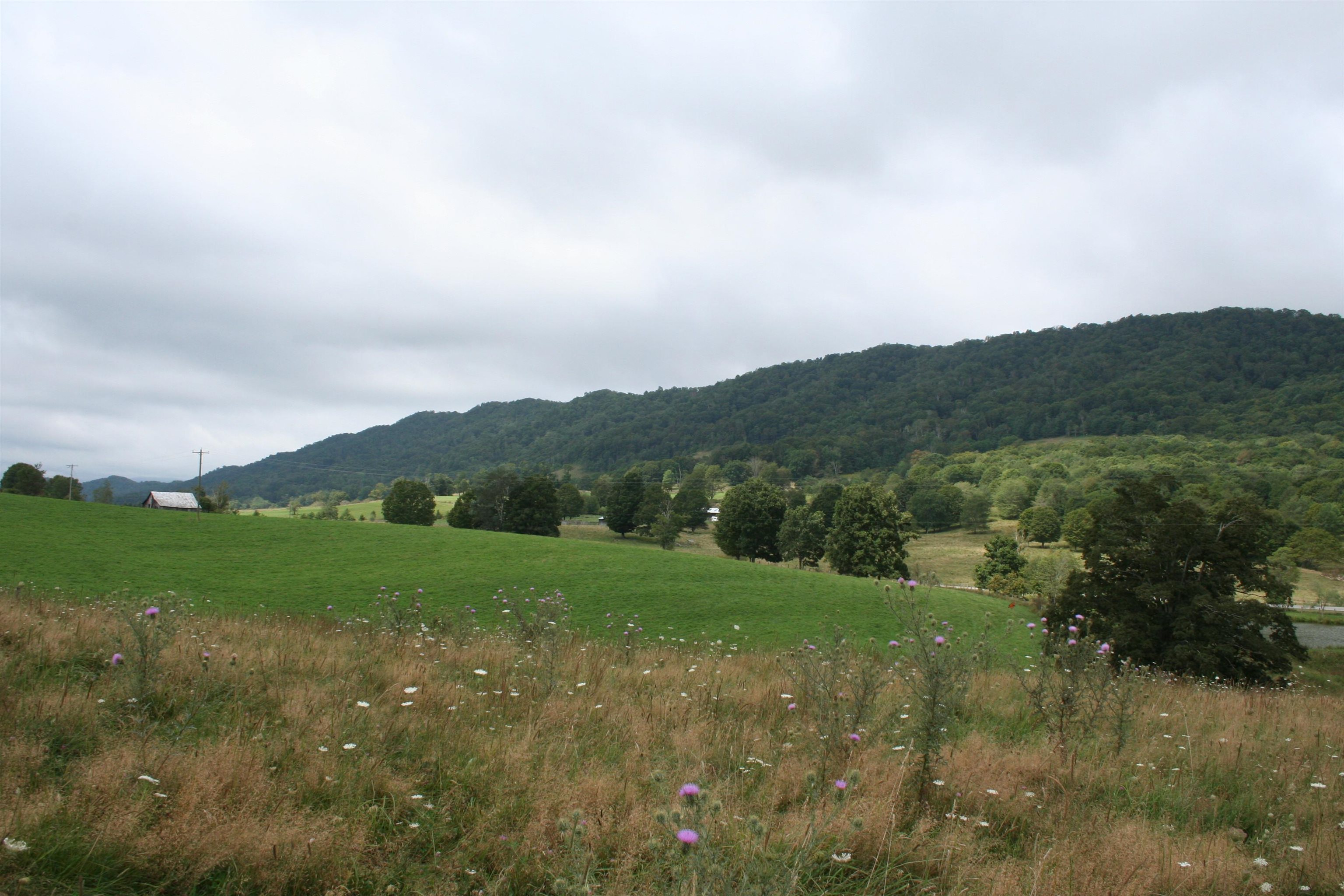 TBD MILL GAP RD, MONTEREY, Virginia 24465, ,Land,TBD MILL GAP RD,668196 MLS # 668196