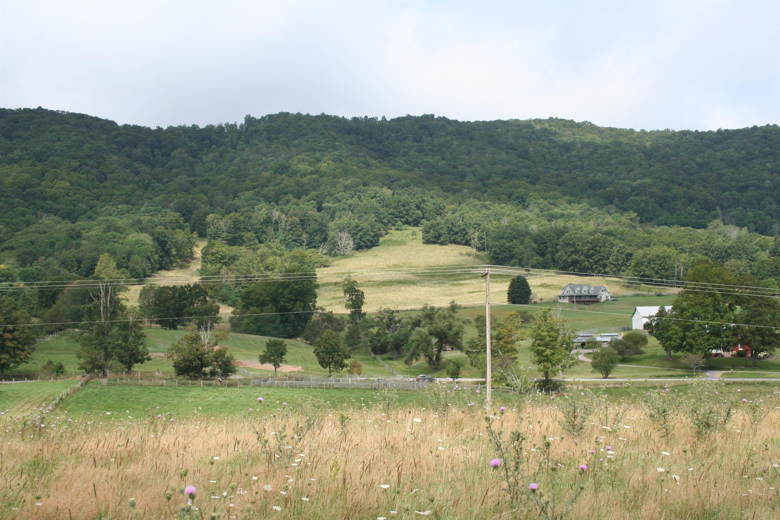 TBD MILL GAP RD, MONTEREY, Virginia 24465, ,Land,TBD MILL GAP RD,668196 MLS # 668196