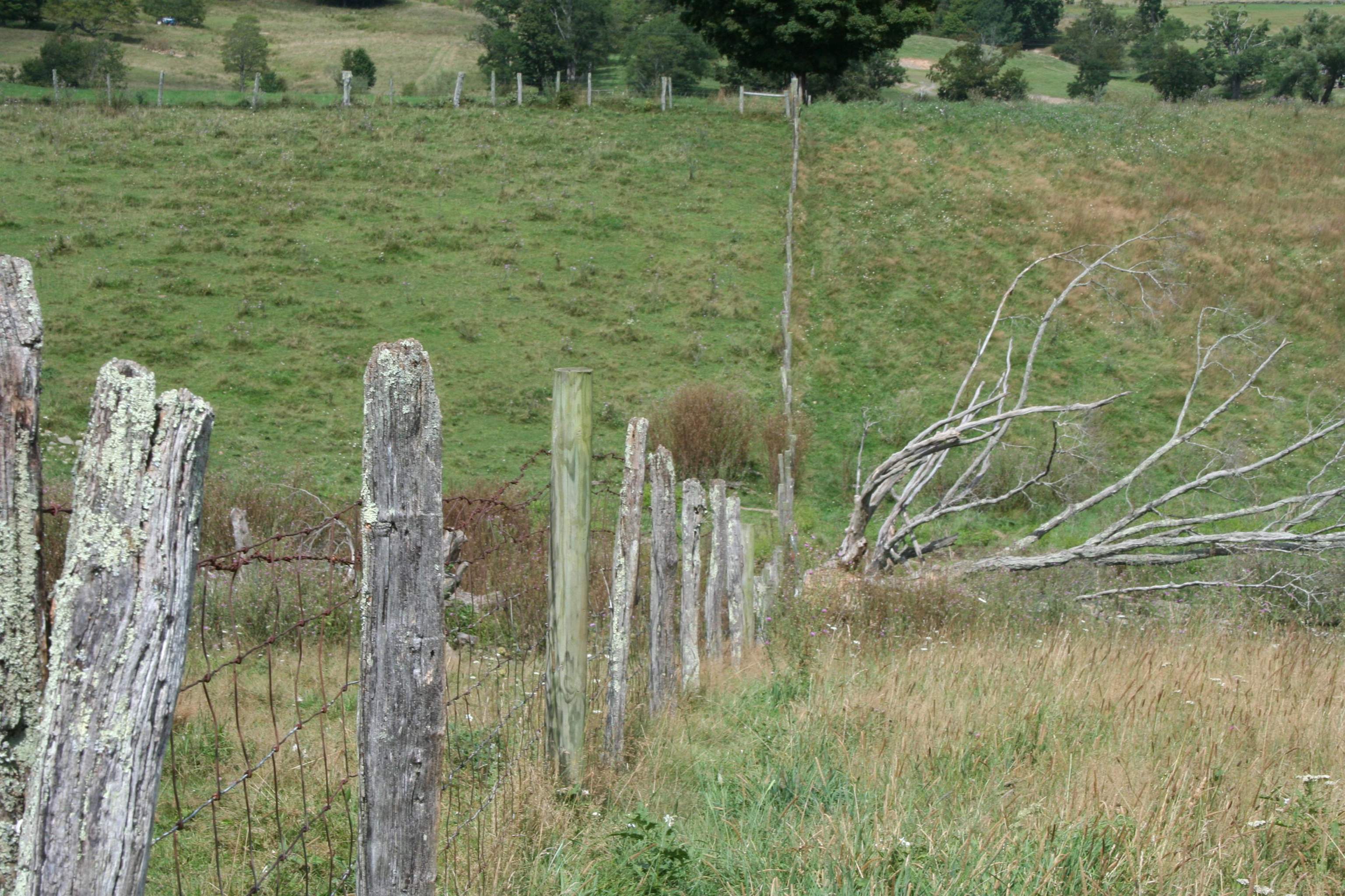 TBD MILL GAP RD, MONTEREY, Virginia 24465, ,Land,TBD MILL GAP RD,668196 MLS # 668196