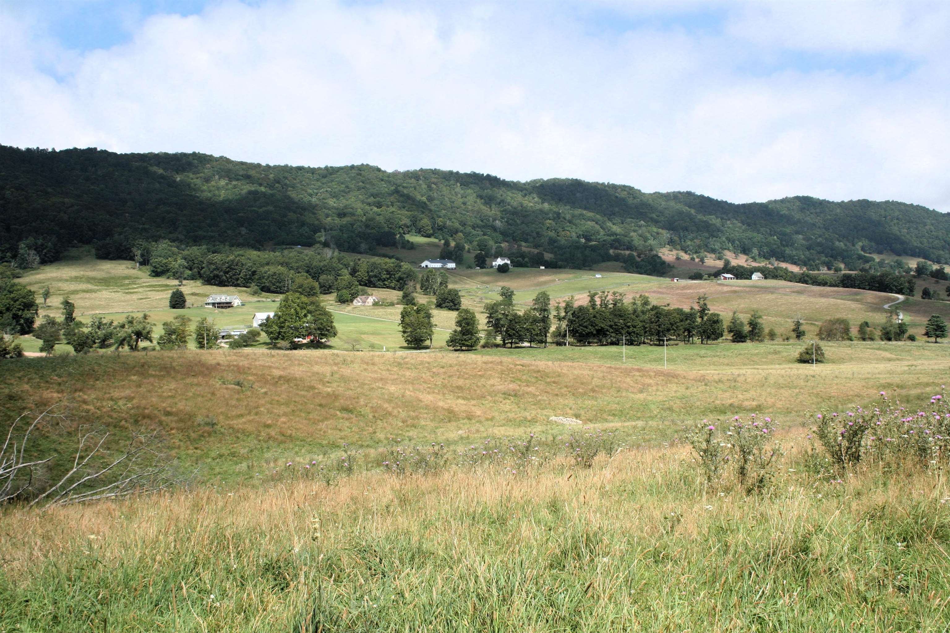 TBD MILL GAP RD, MONTEREY, Virginia 24465, ,Land,TBD MILL GAP RD,668196 MLS # 668196